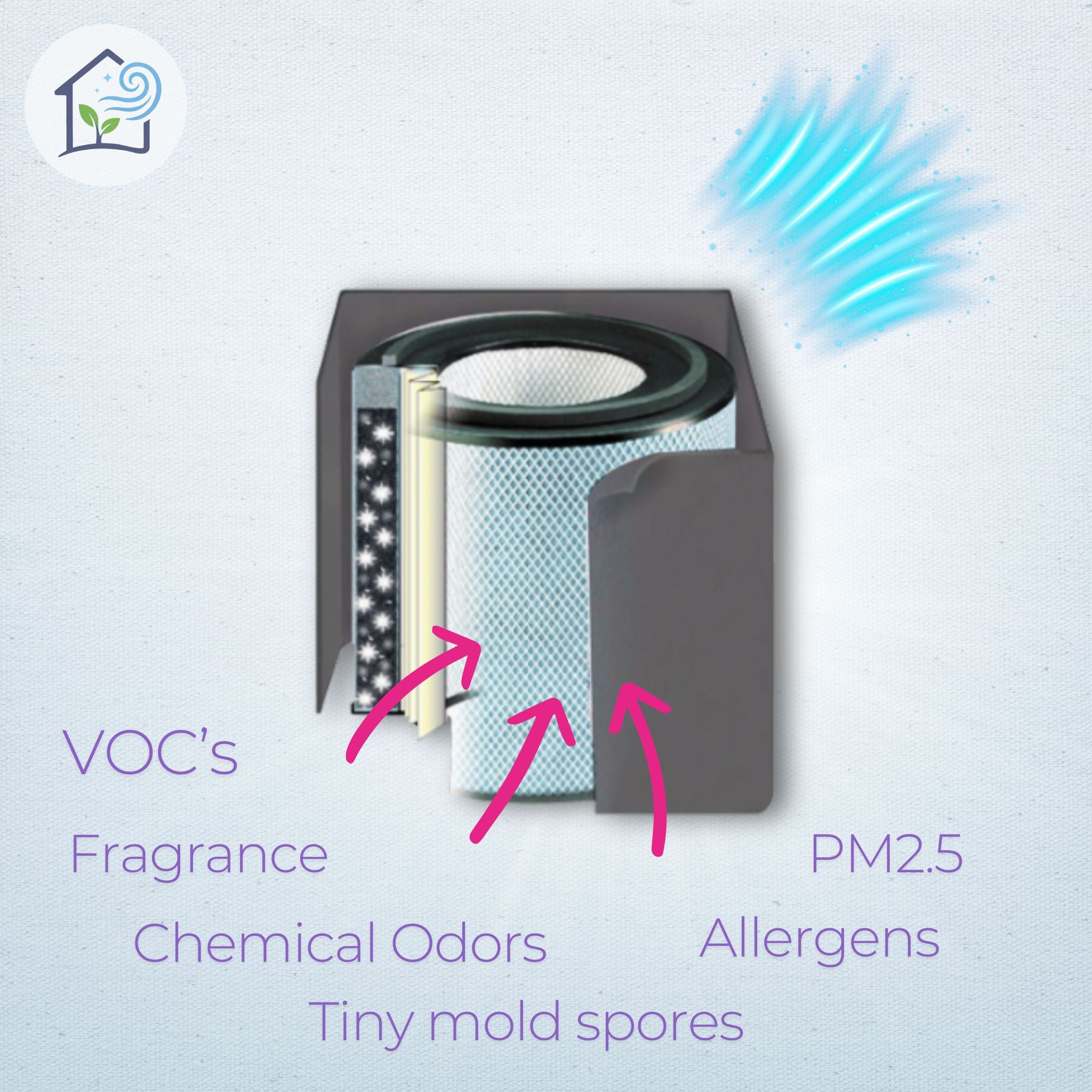 Air purifier cutaway illustrating fragrance and VOC filtration challenges